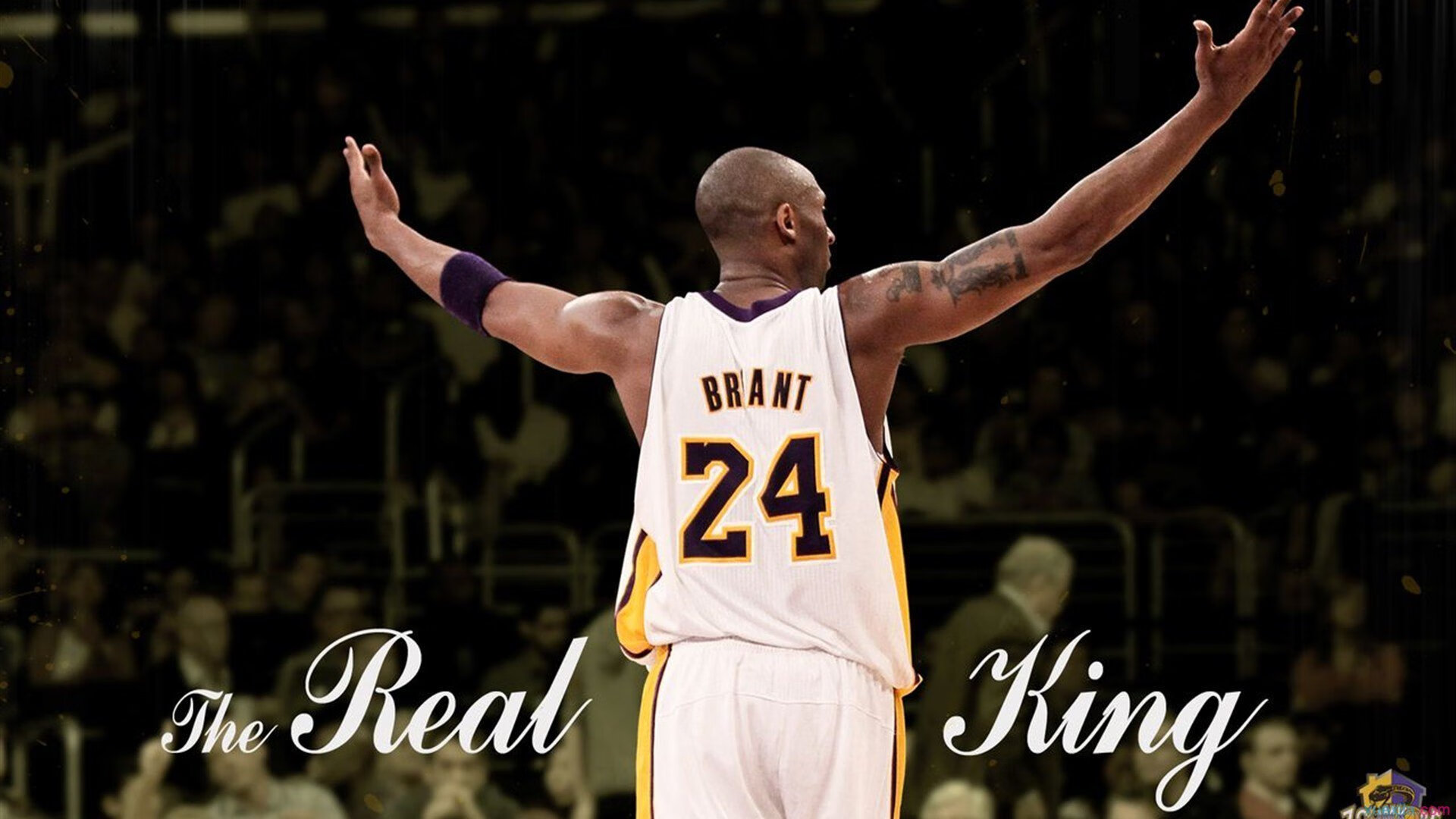 开云体育APP下载-赛道霸权，拉塞尔统治全场，迈凯伦横扫哈斯车队